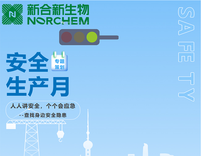安全夯基 致远新程 | 新合新集团隆重启动2025年“安全生产月”活动